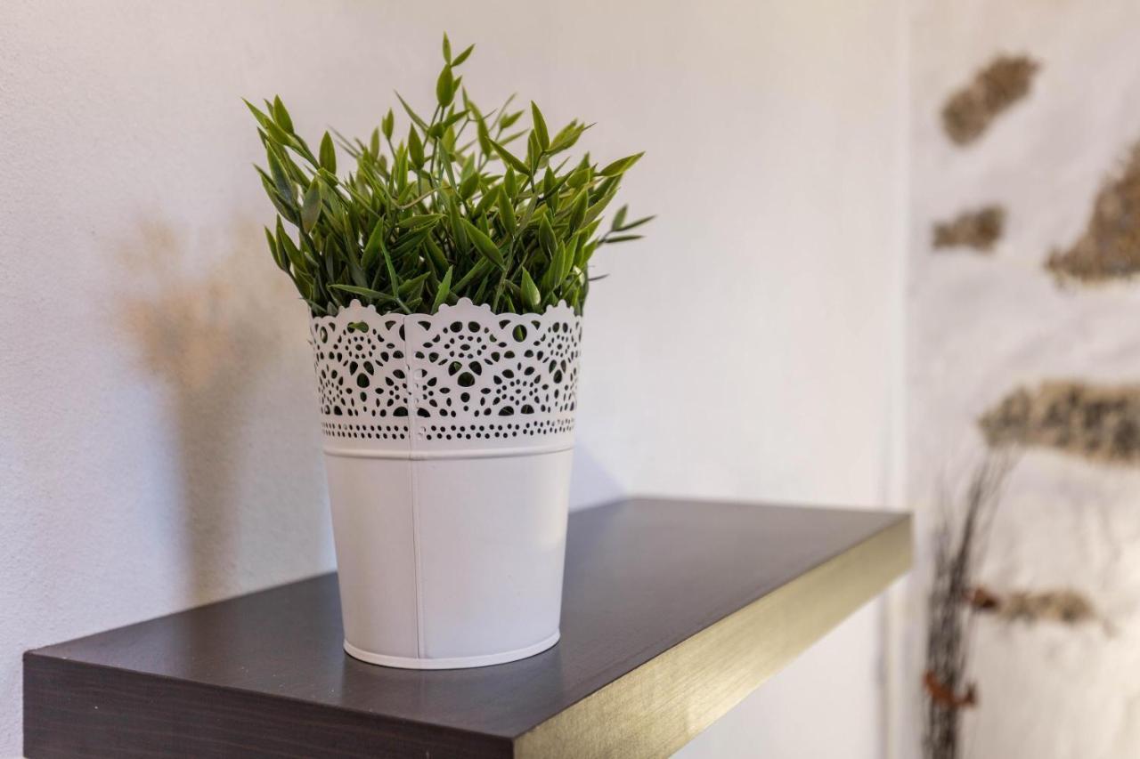 Eden Ecologico En Casa La Fuentita Apartment El Charco  Ngoại thất bức ảnh